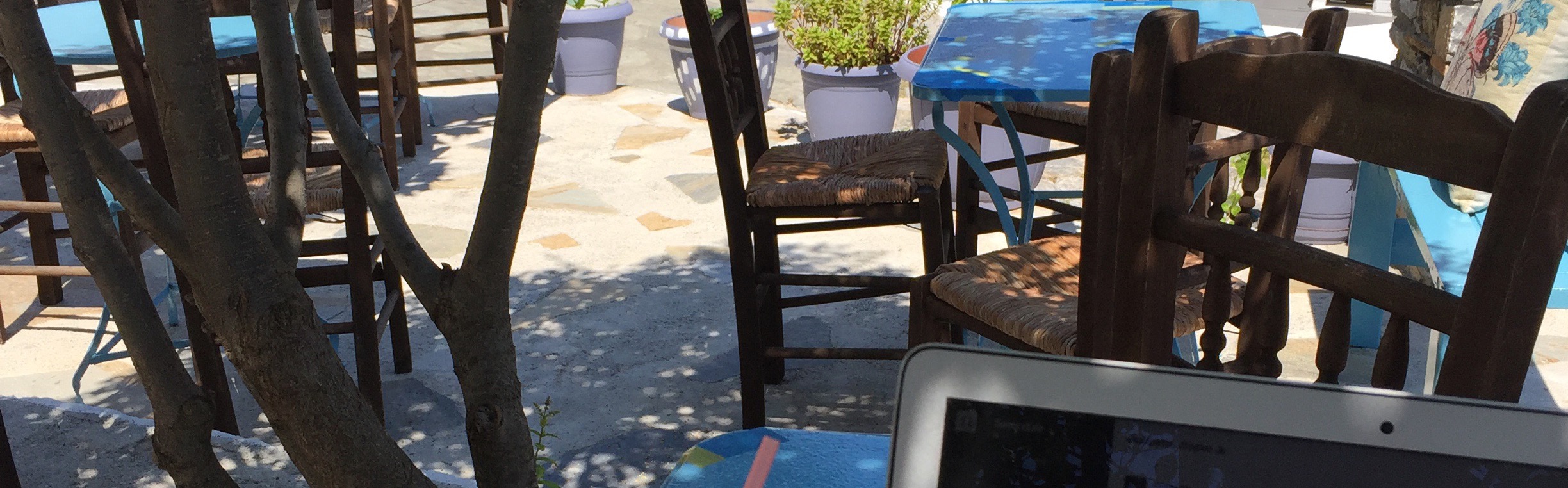 Bookstore Cafe photo